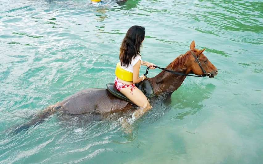 Cool Beach Horse Back Ride and Swim Cool Beach Horse Back Ride and Swim