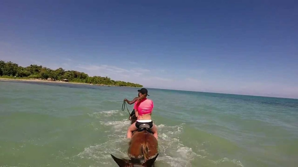 Cool Beach Horse Back Ride and Swim Cool Beach Horse Back Ride and Swim