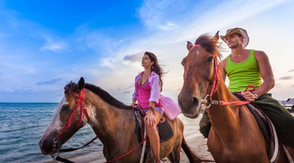 Cool Beach Horse Back Ride and Swim Cool Beach Horse Back Ride and Swim