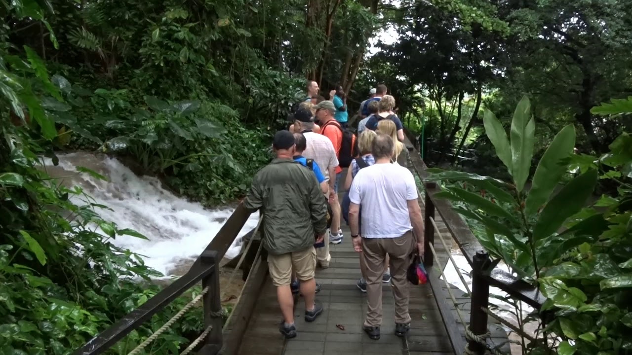 Konoko Garden & Falls Konoko Garden & Falls