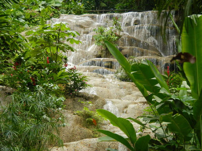 kg67665637_373311773356953_3728643388069642240_n Konoko Gardens